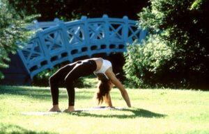 Yoga im Park